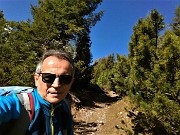 21 Sentiero tra pini mughi